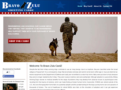 Nonprofit Design with Online Store